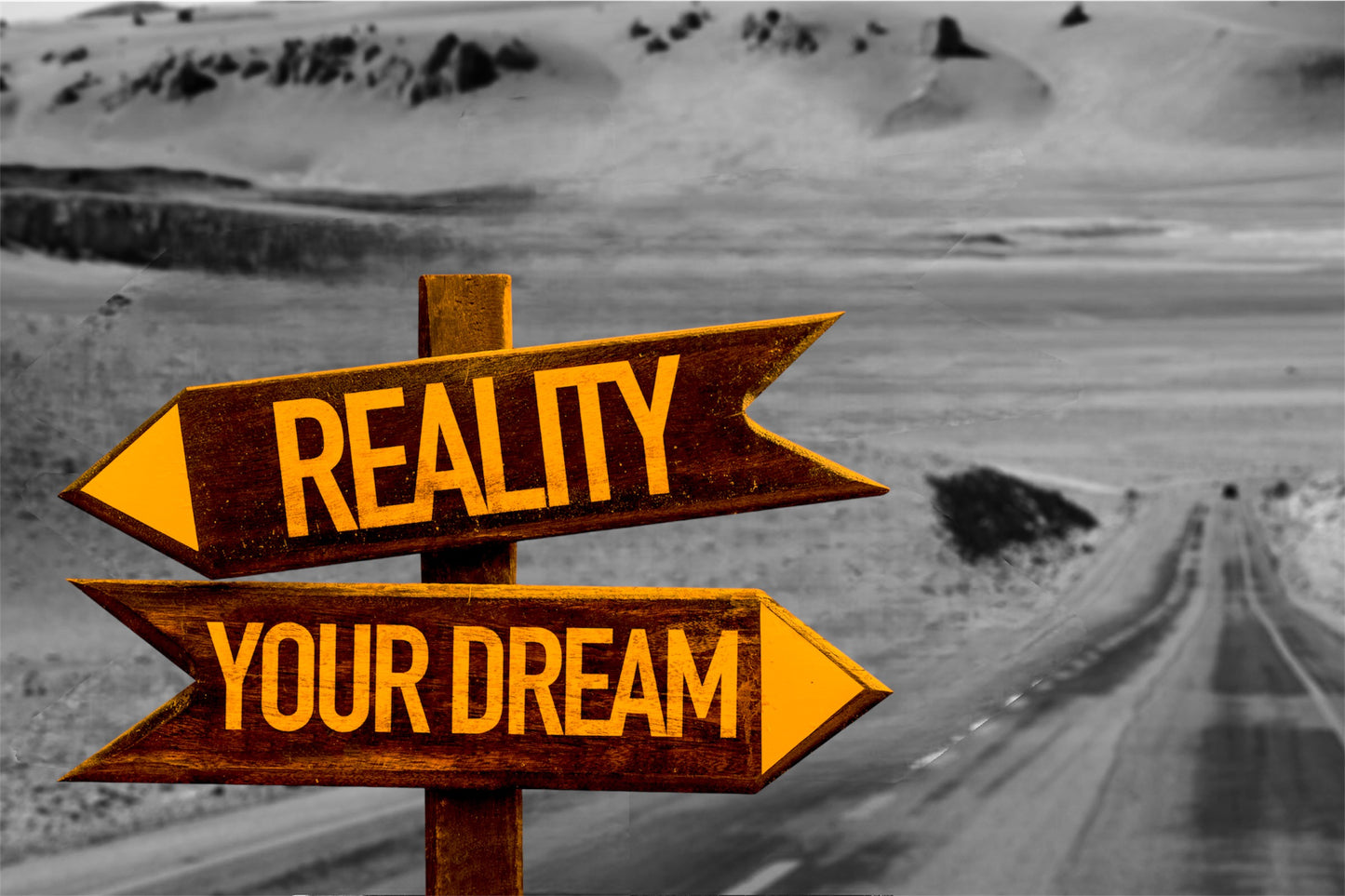 REALITY CHECK